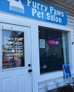 plush paws pet salon